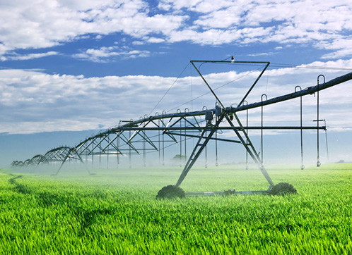 Agriculture-Pumpsupermarket – Pumpmarket.us