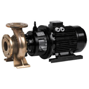 MG2 Electrical Centrifugal Pump - SAER-USA (Bronze)