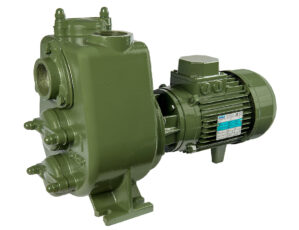 SAER-USA - AP/98 Threaded Centrifugal Pump